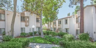Country Woods Apartment Homes Country Woods Apartment Homes Photo Gallery 1