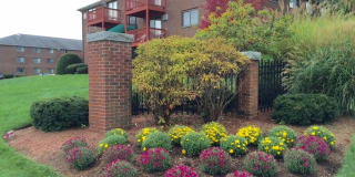 95 Powers Street 95 Powers Street Photo Gallery 1