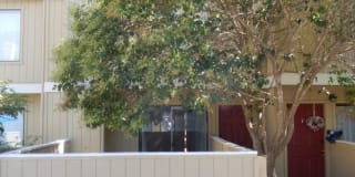 3750 El Camino Real #F2 3750 El Camino Real #F2 Photo Gallery 1