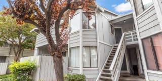137 Mohave Common, Fremont, CA 94539 137 Mohave Common, Fremont, CA 94539 Photo Gallery 1