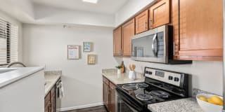 Cortland Scottsdale Mountain Cortland Scottsdale Mountain Photo Gallery 1