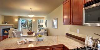 1540 15th Ave S #C 1540 15th Ave S #C Photo Gallery 1