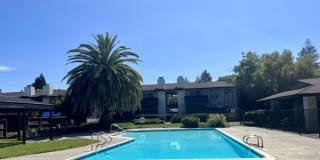 2060 Camel Ln 2060 Camel Ln Photo Gallery 1
