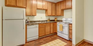 Conifer Grove Conifer Grove Photo Gallery 1