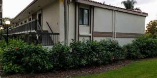6219 PALMA DEL MAR BOULEVARD S 6219 PALMA DEL MAR BOULEVARD S Photo Gallery 1