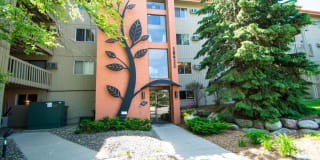 Wilshire Wood Apartments Wilshire Wood Apartments Photo Gallery 1