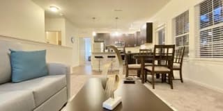 12125 Olive Jones Rd Fl 33625 12125 Olive Jones Rd Fl 33625 Photo Gallery 1