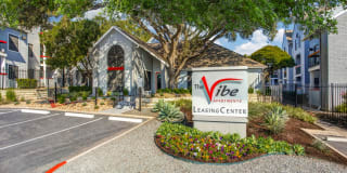 The Vibe The Vibe Photo Gallery 1