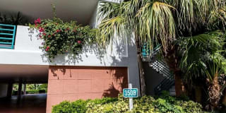 350 GULF OF MEXICO DRIVE 350 GULF OF MEXICO DRIVE Photo Gallery 1