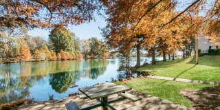 Plantation Plantation Photo Gallery 1