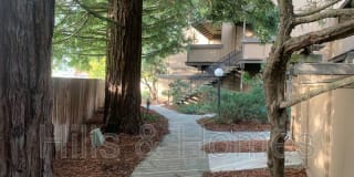 101 NICHOLAS COURT 101 NICHOLAS COURT Photo Gallery 1