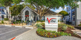 The Vibe The Vibe Photo Gallery 1