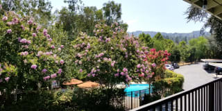 Los Gatos Heights Los Gatos Heights Photo Gallery 1
