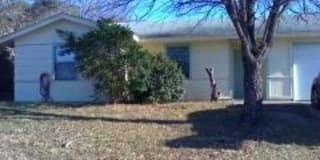 510 Traci 510 Traci Photo Gallery 1