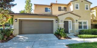 25 Periwinkle 25 Periwinkle Photo Gallery 1