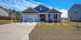 7136 Boykin Spaniel Way 7136 Boykin Spaniel Way Photo Gallery 1