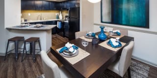 The Pointe at Lenox Park The Pointe at Lenox Park Photo Gallery 1