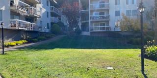 960 Shorepoint Court Unit 313 960 Shorepoint Court Unit 313 Photo Gallery 1