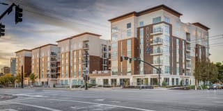 pet friendly apartments for rent