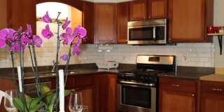 1211 Pine Street 1211 Pine Street Photo Gallery 1