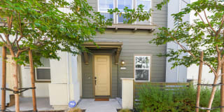 2086 Vincenzo Walkway 2086 Vincenzo Walkway Photo Gallery 1