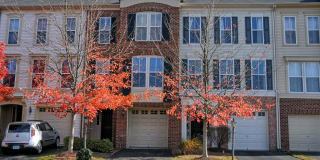 21388 SHADY WOOD TERRACE 21388 SHADY WOOD TERRACE Photo Gallery 1