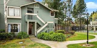 34612 Pueblo Ter 34612 Pueblo Ter Photo Gallery 1