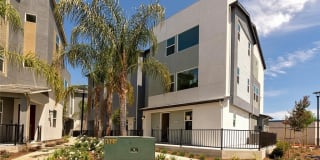 255 N Standard 255 N Standard Photo Gallery 1