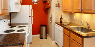 Ocean Harbor Ocean Harbor Photo Gallery 1
