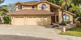 6356 W LONE CACTUS Drive 6356 W LONE CACTUS Drive Photo Gallery 1
