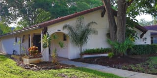 3442 TARPON WOODS BOULEVARD 3442 TARPON WOODS BOULEVARD Photo Gallery 1