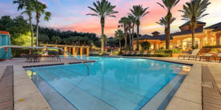 The Debra Metrowest The Debra Metrowest Photo Gallery 1