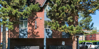 805 Dahlia 805 Dahlia Photo Gallery 1