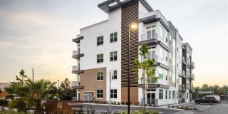Icaria on Pinellas Icaria on Pinellas Photo Gallery 1