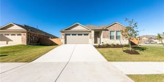 100 Split Rein DR 100 Split Rein DR Photo Gallery 1