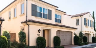 98 Rembrandt 98 Rembrandt Photo Gallery 1