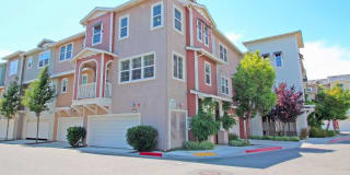 706 Jetty Drive 3rd Floor 706 Jetty Drive 3rd Floor Photo Gallery 1