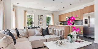 Grove on Grand Grove on Grand Photo Gallery 1