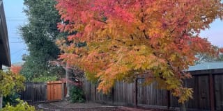 648 Tanbark Terr. 648 Tanbark Terr. Photo Gallery 1