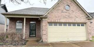 1088 CROSS WOOD 1088 CROSS WOOD Photo Gallery 1
