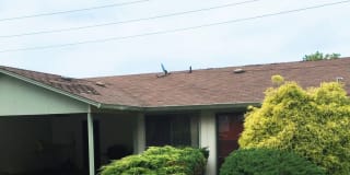 2732 Pine Rd NE 2732 Pine Rd NE Photo Gallery 1