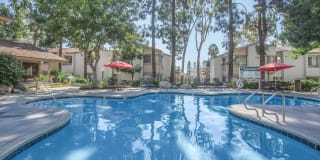 Country Woods Apartment Homes Country Woods Apartment Homes Photo Gallery 1