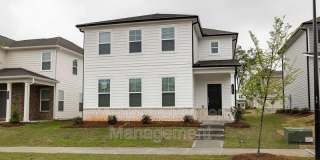 53 Goshawk Street 53 Goshawk Street Photo Gallery 1