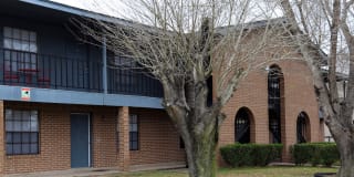 Ashtree Ashtree Photo Gallery 1