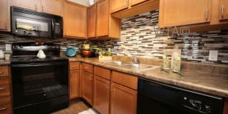 2000 FM 1460 2000 FM 1460 Photo Gallery 1