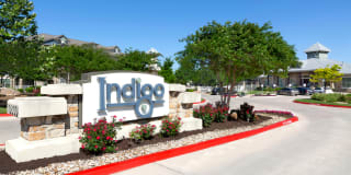Indigo Indigo Photo Gallery 1