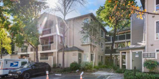 2550 Oak Rd, Walnut Creek, CA 94597 2550 Oak Rd, Walnut Creek, CA 94597 Photo Gallery 1