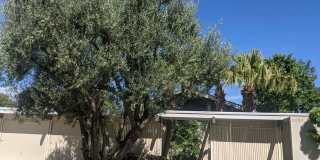 3056 CORDA DR 3056 CORDA DR Photo Gallery 1