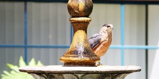 Ashland Gardens Ashland Gardens Photo Gallery 1