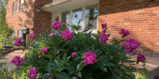 7602 Cosgrove Place 7602 Cosgrove Place Photo Gallery 1